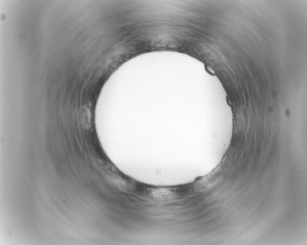 X0000088610183200706221440