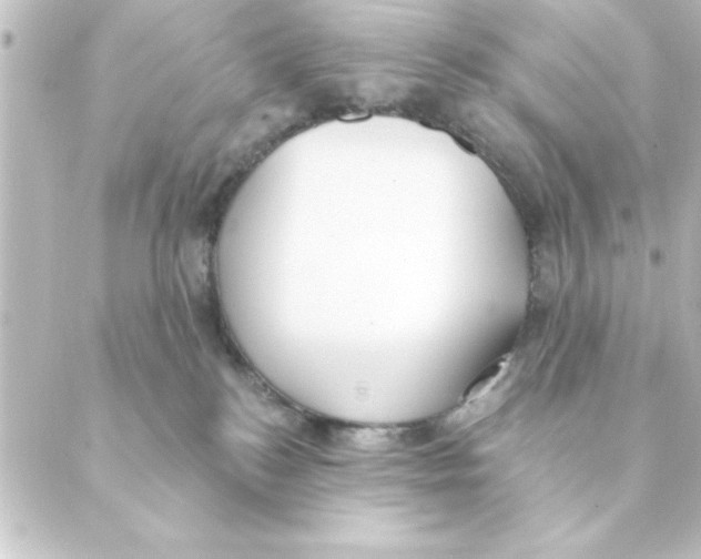 X0000088610184200706221440