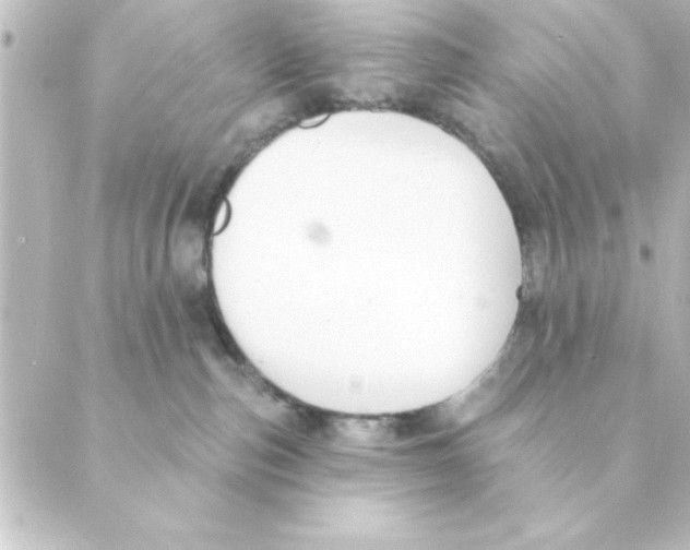 X0000088610187200706221440