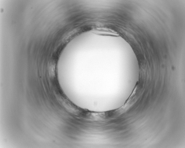 X0000088610188200706221440