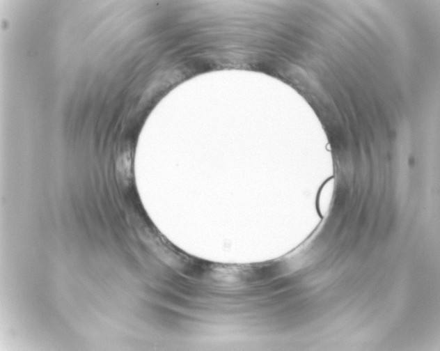 X0000088610190200706221440