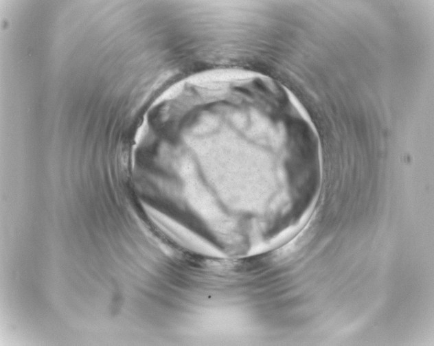 X0000088610192200706221440