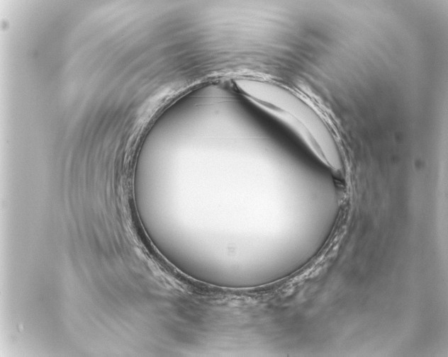 X0000088610193200706221439