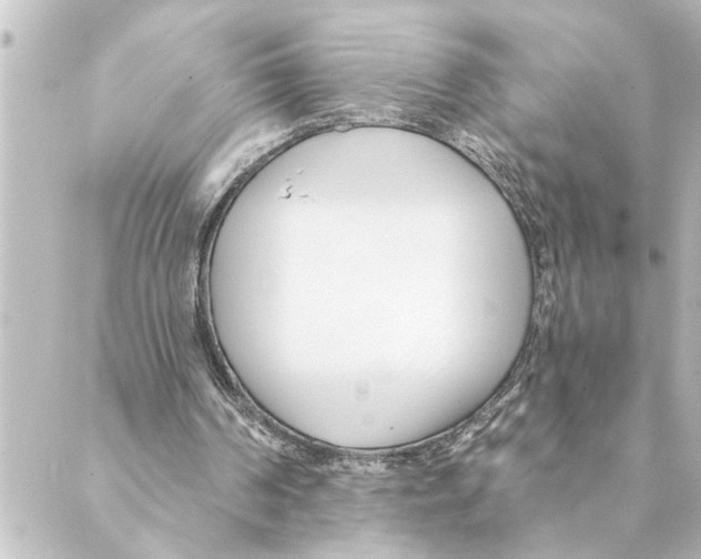 X0000088610194200706221439