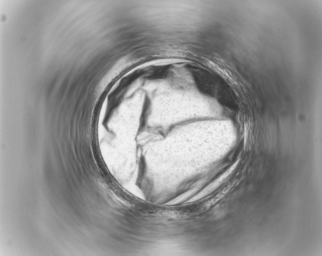 X0000088610195200706221439