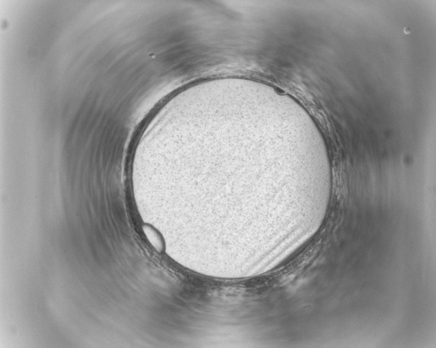 X0000088610196200706221439