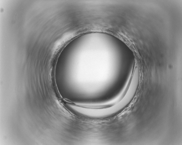 X0000088610197200706221439