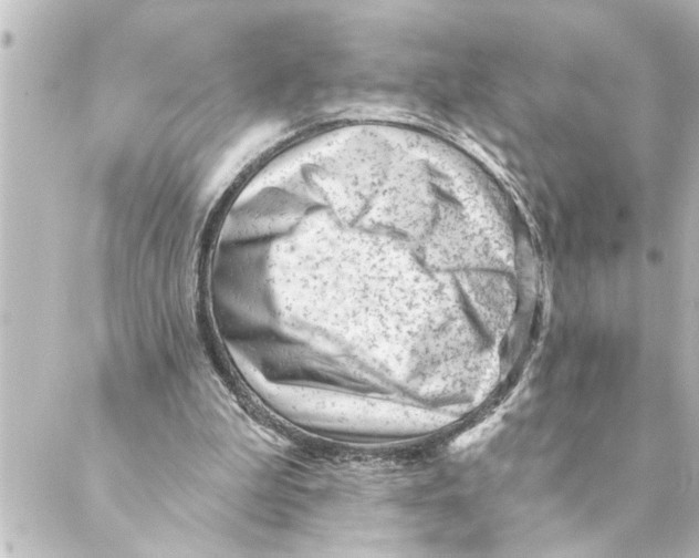 X0000088610199200706221439