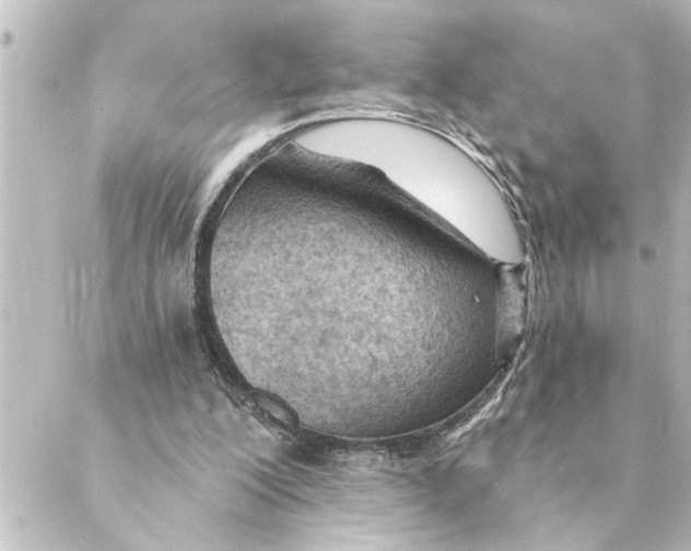 X0000088610200200706221439