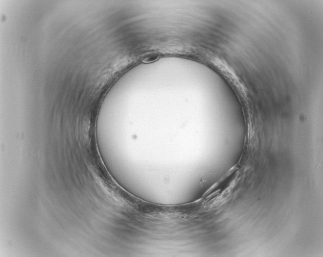 X0000088610201200706221439