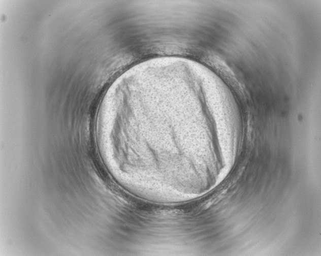 X0000088610202200706221439