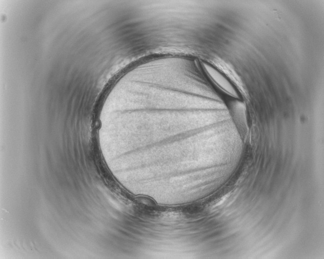 X0000088610204200706221439