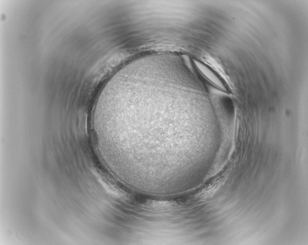 X0000088610205200706221439