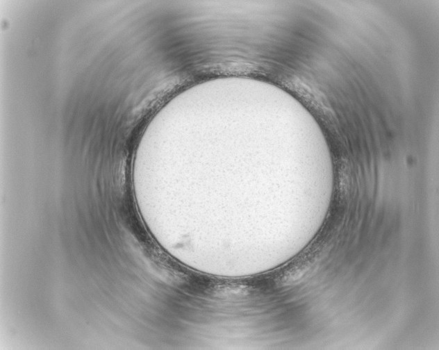 X0000088610206200706221439