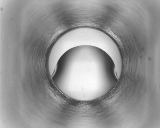 X0000088610207200706221439