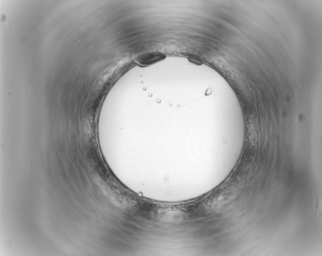 X0000088610208200706221439