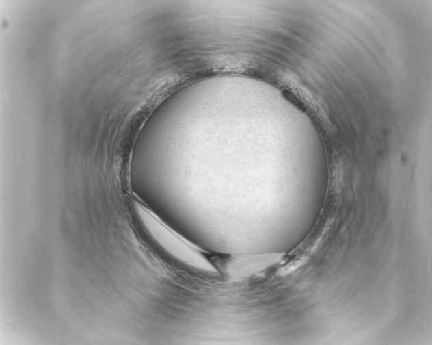 X0000088610209200706221439