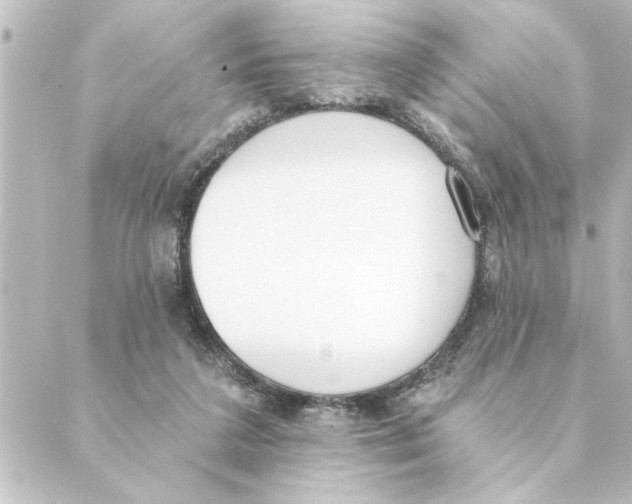 X0000088610211200706221439