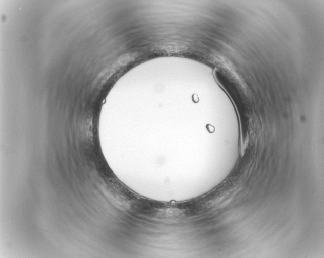 X0000088610212200706221439