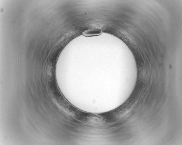 X0000088610215200706221439