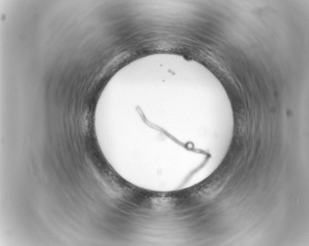 X0000088610216200706221439