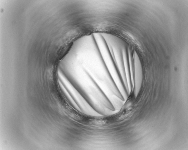 X0000088610217200706221439