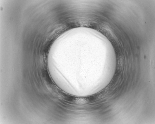 X0000088610218200706221439