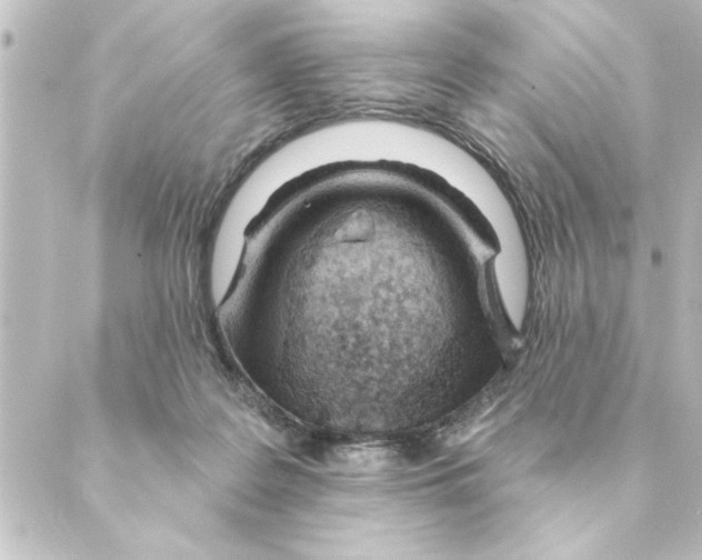 X0000088610219200706221439