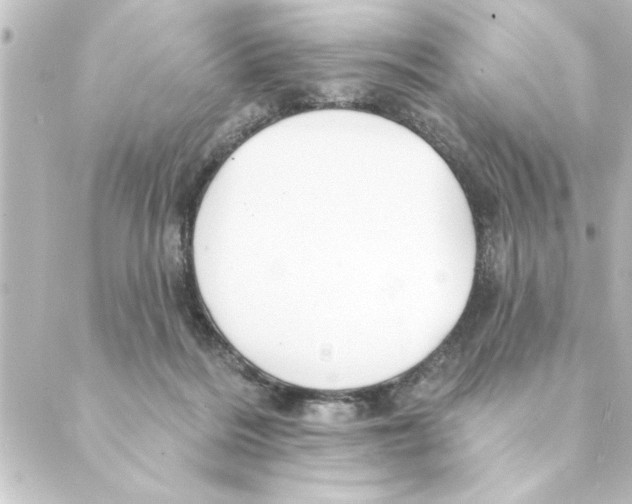 X0000088610220200706221438