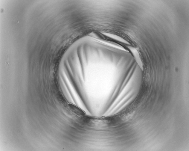 X0000088610221200706221438