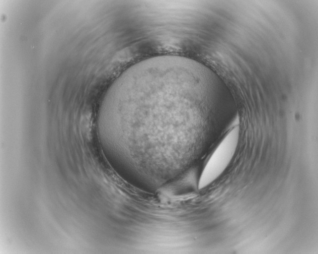 X0000088610223200706221438