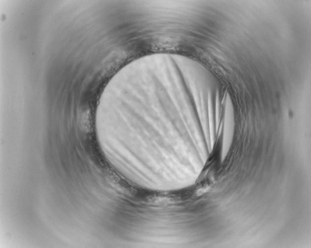 X0000088610224200706221438