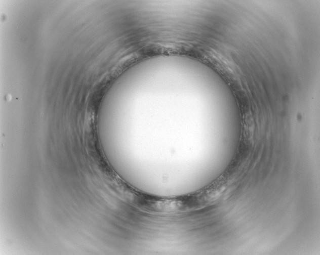 X0000088610225200706221438