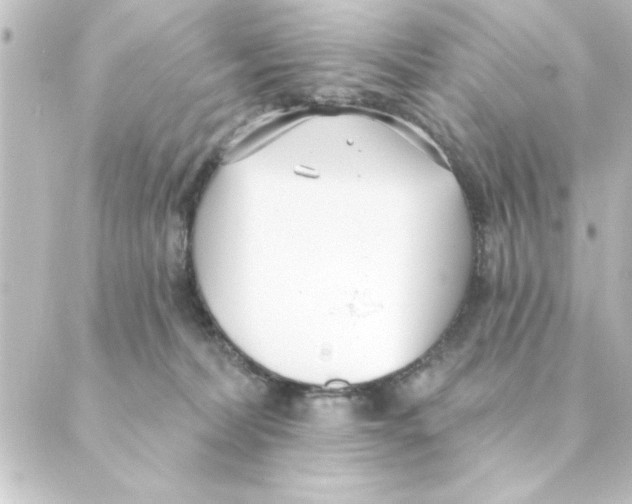 X0000088610228200706221438