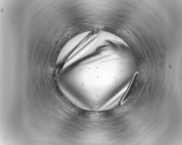 X0000088610229200706221438