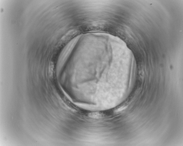 X0000088610231200706221438