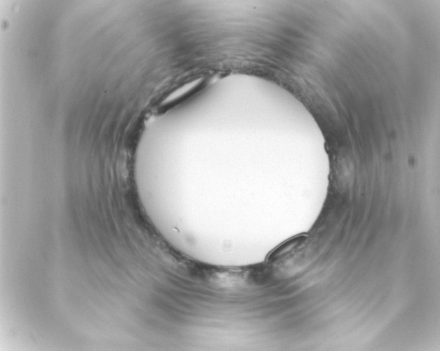 X0000088610232200706221438