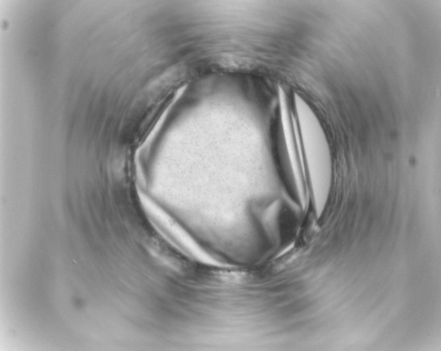 X0000088610233200706221438