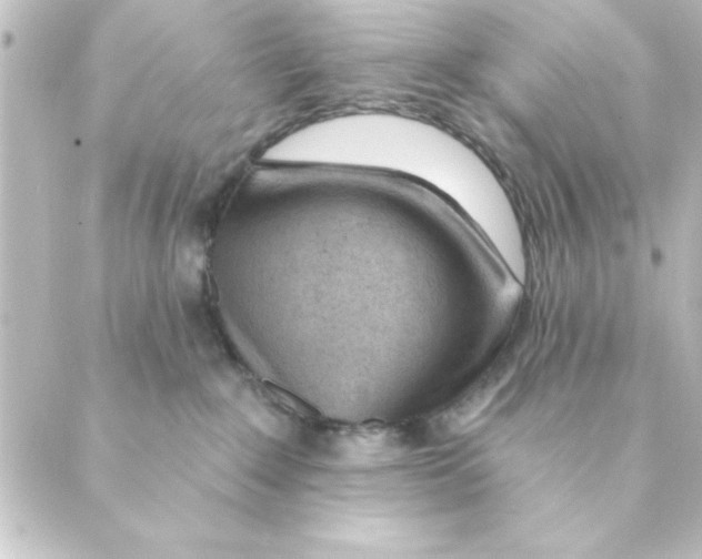 X0000088610235200706221438