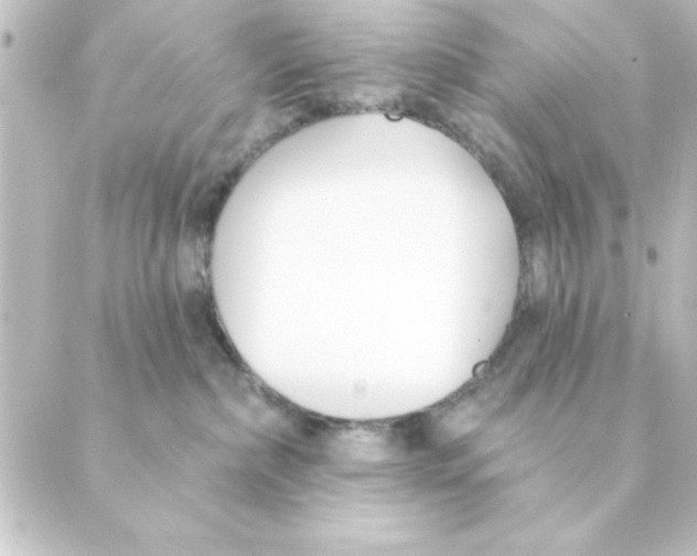 X0000088610236200706221438