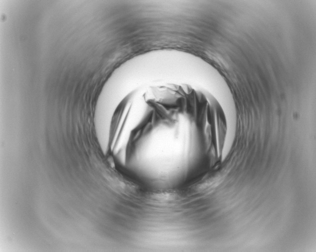 X0000088610237200706221438