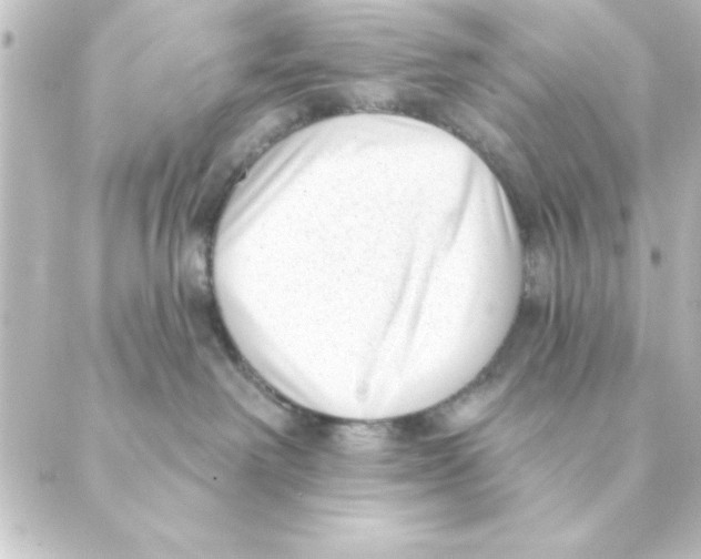 X0000088610238200706221438