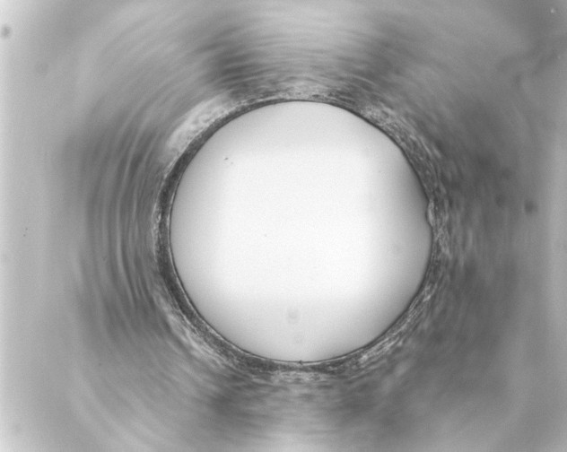 X0000088610242200706221437