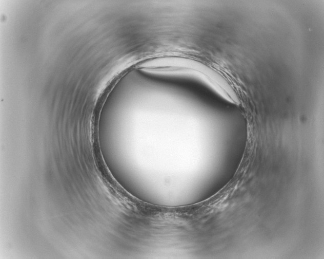 X0000088610244200706221437