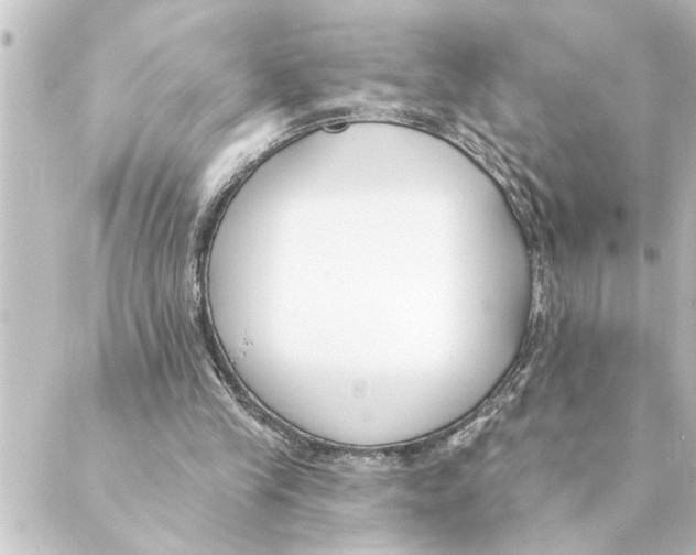 X0000088610245200706221437