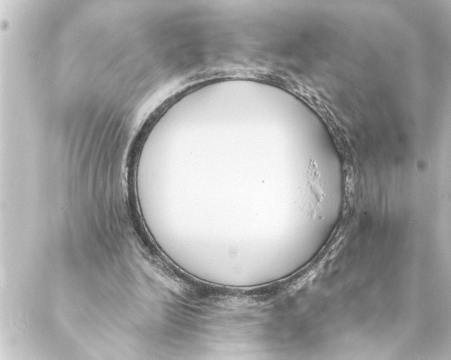 X0000088610246200706221437