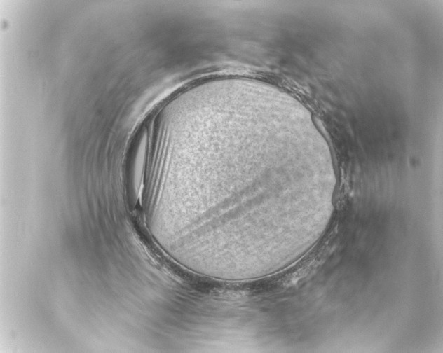 X0000088610247200706221437