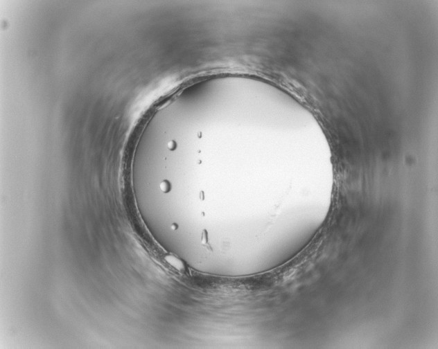 X0000088610248200706221438