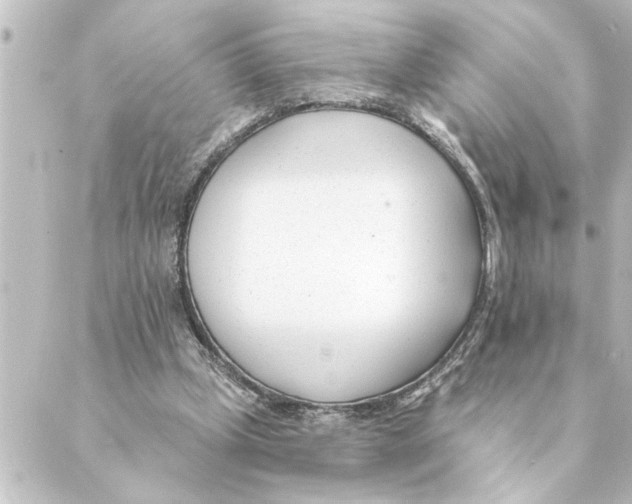 X0000088610249200706221438