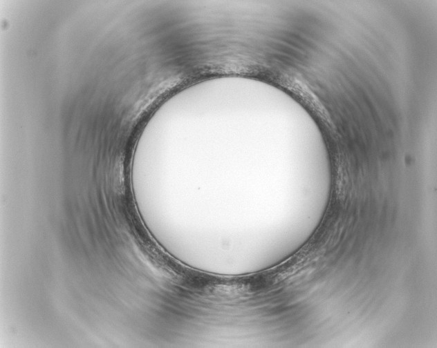 X0000088610251200706221438